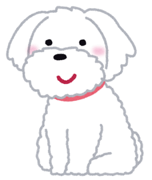 まるちゃん